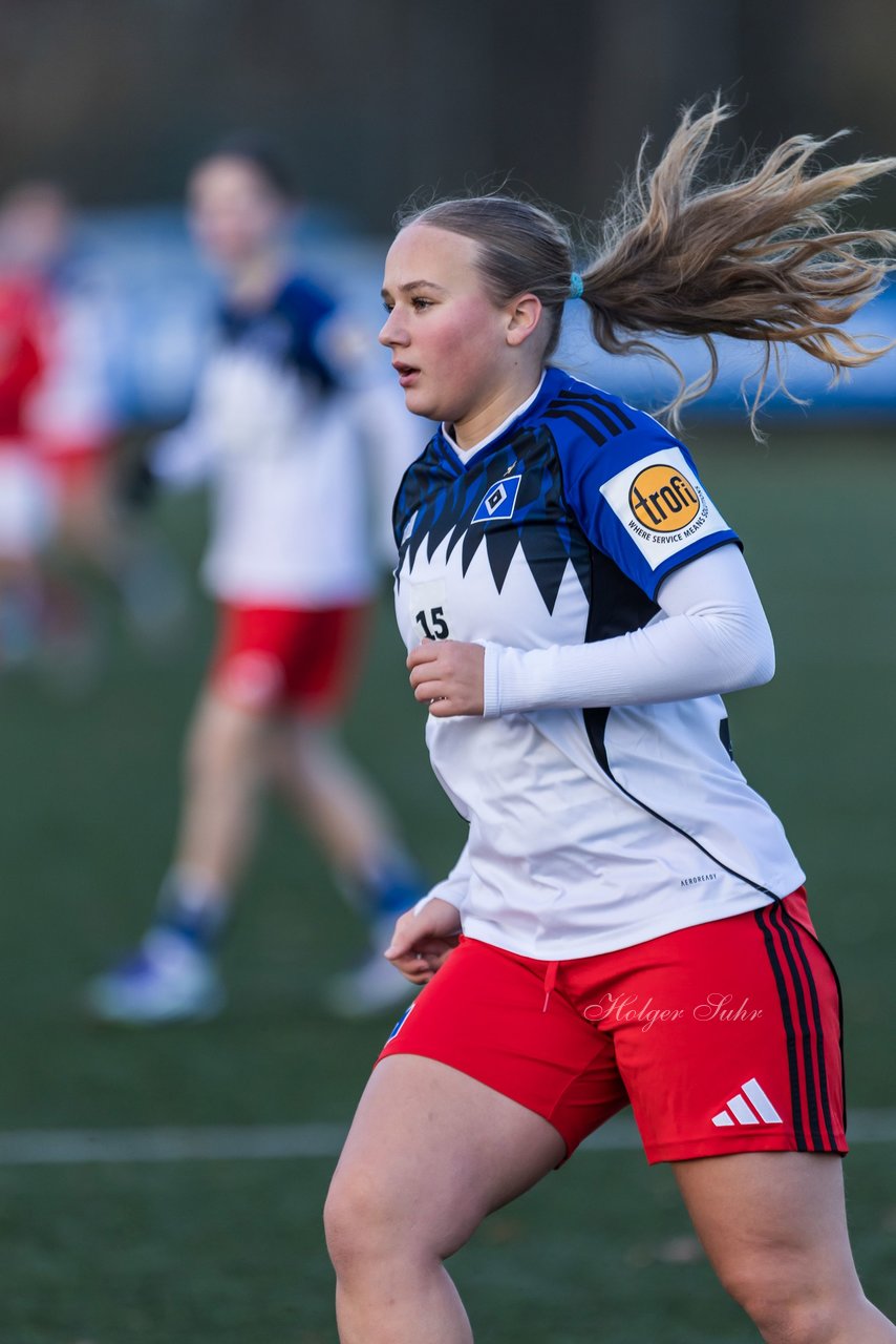 Bild 302 - wBJ Hamburger SV - Holstein Kiel : Ergebnis: 8:0